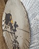patery i talerze Talerz ceramiczny Kos 30 cm 4