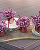 kwietniki Mini flowerbox suszki trwały 1