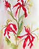 obrazy Akwarela Kwiaty oryginalny obraz A5 21x15 cm 2