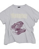 t-shirt damskie T-shirt Vintagesaurus grey 1