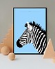 obrazy i plakaty do pokoju dziecięcego Plakat Zebra 2