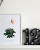 grafiki i ilustracje FIGOWIEC B2 1