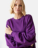 bluza bez kaptura damska Bluza Iconic Purpura 2