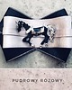 broszki Brosza z jednorożcem/ konikiem NEW 3