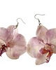 kolczyki z żywicy Kolczyki z kwiatów orchidei 1