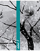 grafiki i ilustracje Grafika na płotnie MAGNOLIA drzewo- 150x60cm 3