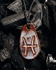 wisiory Wisior ceramiczny - znak zodiaku 3