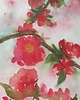 obrazy Akwarela Czerwony kwiat oryginalny obraz A5 21x15 cm 1