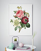 plakaty Plakat Vintage Flowers 5