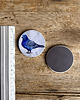 magnesy Gołąbek- Magnes ceramiczny- Ilustracja- Ptaki 2