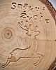 dekoracje świąteczne Drewniana podstawka Smakuj Życie, na prezent 5