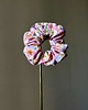 gumki do włosów Scrunchie ReBloom gumka do włosów 1