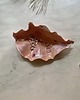 pojemniki na biżuterię Podstawka na Biżuterię Ceramiczna Muszelka Muszla Perłowa 1