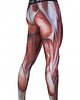 spodnie męskie Legginsy Pure Muscle 1