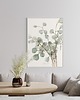 grafiki i ilustracje Eucalyptus 100x70 cm 3