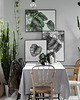 plakaty Plakat Calathea 2