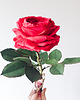 dodatki - różne Realistyczna czerwona róża z papieru - jak żywa - prezent premium 5