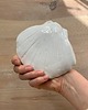 pojemniki na biżuterię Ceramiczna Muszelka na Biżuterię Podstawka Biała ze Złoceniami 5