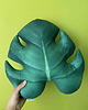poduszki z grafiką Poduszka Monstera Liść Monstery 1