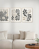plakaty Zestaw 3 plakatów z motywem abstrakcyjnych roślin i kwiatów. 1