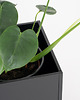 doniczki Donica Rodos na parapet 80 cm 3