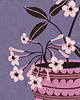 grafiki i ilustracje Pink flower plakat art giclee print A3 2