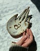 pojemniki na biżuterię Ceramiczna Łapka Handmade Talerzyk na Biżuterię Stracciatella 1