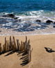 zapachy - inne Zapach do samochodu "The Summer Time Story"- Sea 3