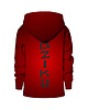 bluzy dla chłopców Bluza Chłopiec DR.CROW Dziku 1