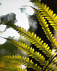 fotografia Zestaw 8 fotografii 2