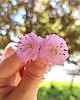 kolczyki z masy plastycznej Kolczyki sakura delikatne kwiaty półprzezroczyste handmade stal 5