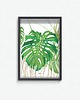 plakaty Plakat  Monstera Deliciosa 1