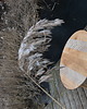 stoliki kawowe Oval Herringbone - Dębowy stolik kawowy z mozaiką herringbone 5