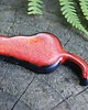 magnesy Ceramiczny magnes kot czerwony 2