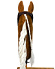 zabawki - inne Realistyczny Hobby Horse palomino - biały/biała 4