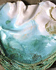 patery i talerze GIGA patera - Organic Form 4