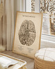 plakaty Plakat Tętnice Mózgu Vintage 4