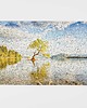 puzzle dla dzieci Jezioro Wanaka 1