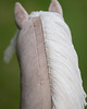 zabawki - inne Hobby Horse + ogłowie + wodze 6