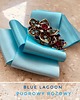 broszki Brosza Blue Lagoon NEW 5