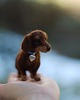 figurki i rzeźby Jamnik Miniatura 2