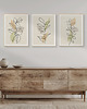 plakaty Zestaw 3 stylowych plakatów w stylu Boho, rośliny, liście, kwiaty, line art. 3