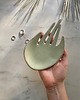 pojemniki na biżuterię Ceramiczna Dłoń Podstawka na Palo Santo Biżuterię Pistacja 3