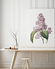plakaty Plakat Bez  vintage  2