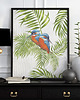 plakaty Plakat 50x40 Zimorodki Zielone Palmy 1