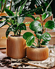 doniczki Średnia doniczka 71P03.500.OAK / eko / zero waste / minimalizm 1