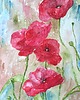grafiki i ilustracje Akwarela Makowe pole 50x70 cm Ołówek 4