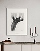 grafiki i ilustracje Wierzba 50x70 cm 2