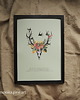 plakaty Plakat A3 - Anatomia Natury 1