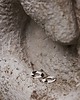 kolczyki - inne Kolczyki OVAL TERRAZZO 3